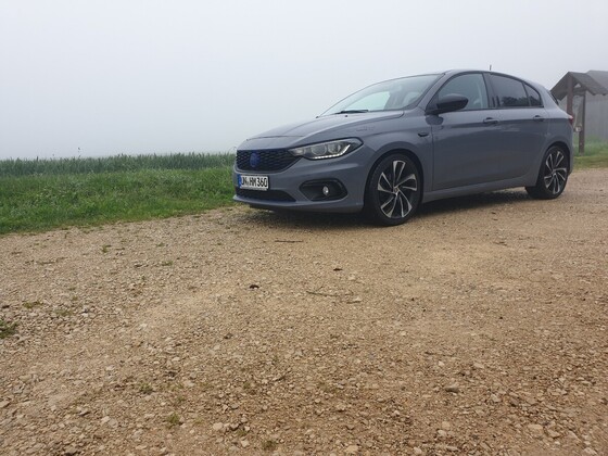 Schwarzwald ohne Bäume
