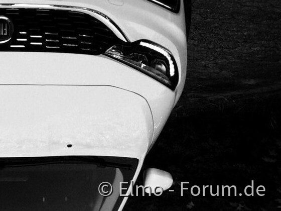 //// Elena