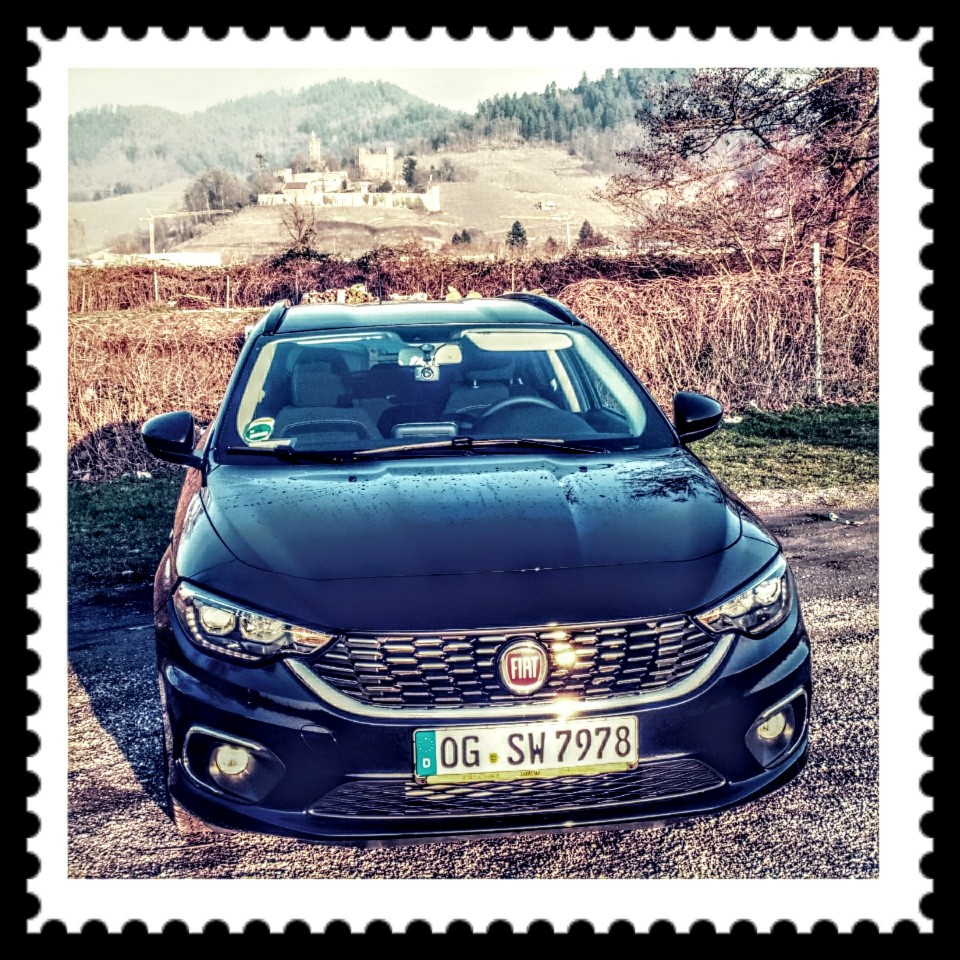 Der schönste unter den Tipo`s (zumindest für mich)