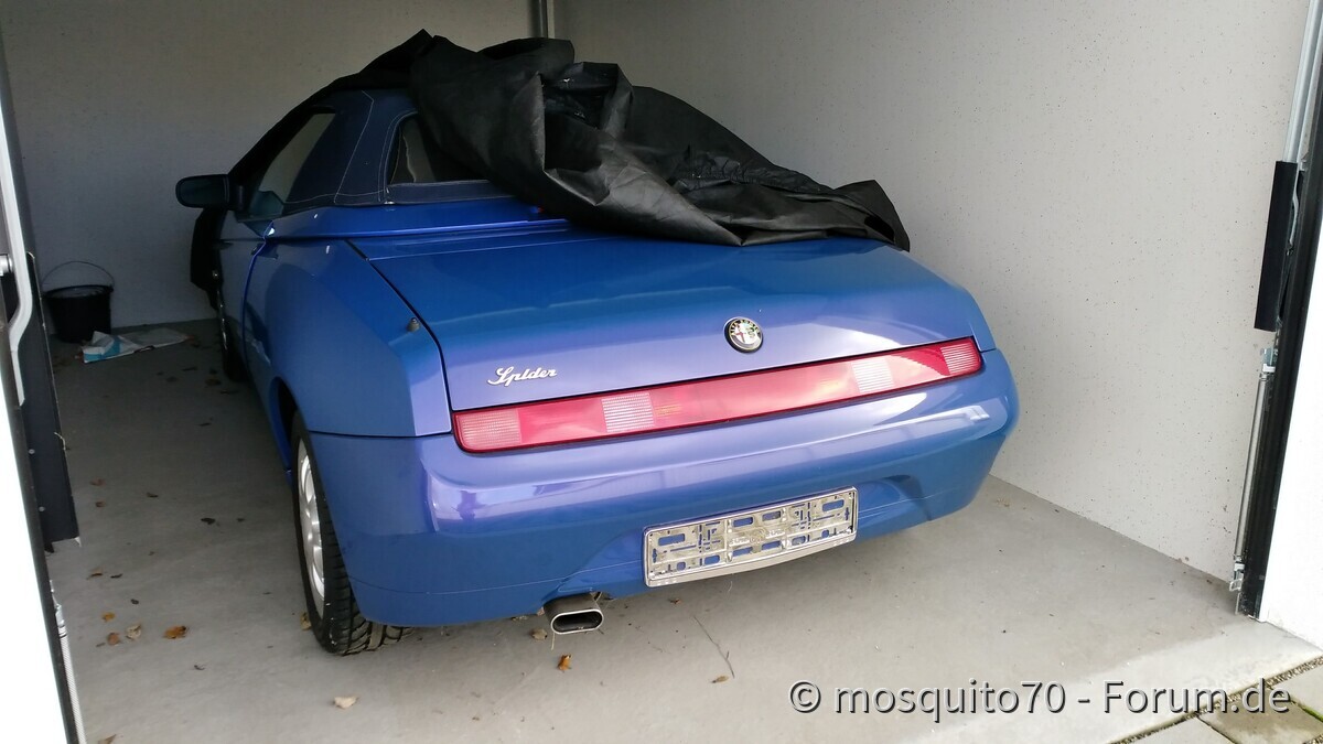 Meine Winterschläfer