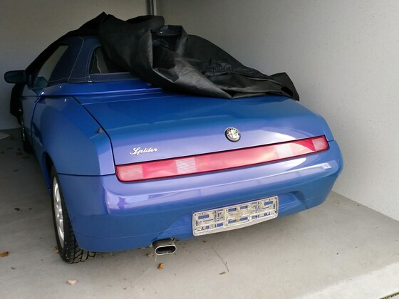 Meine Winterschläfer