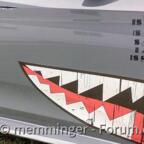 Der jüngste in meiner Garage