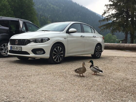 Enten stehen auf Fiat^^