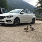 Enten stehen auf Fiat^^