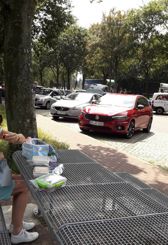 Rast auf dem Weg nach Amrum