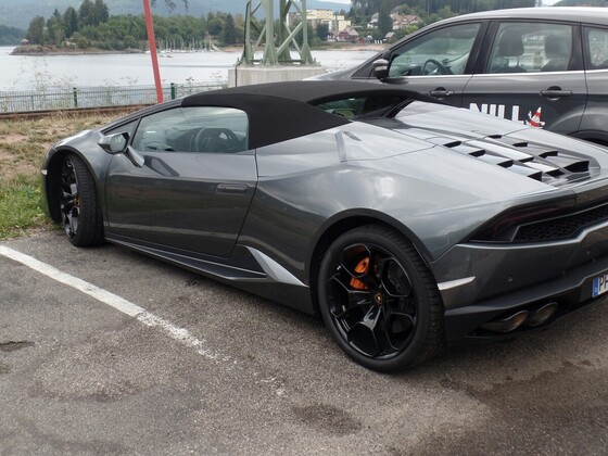 Heute waren wir am Schluchsee in guter Gesellschaft