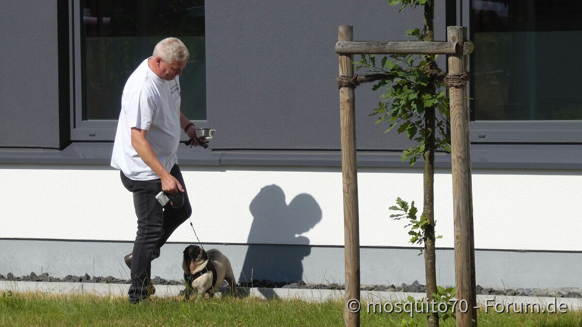 Links Thomas rechts Mops