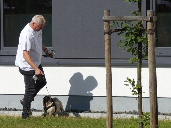 Links Thomas rechts Mops