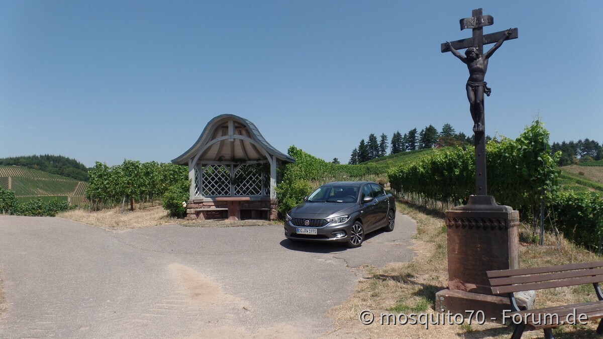 Der Tipo und die Weinberge über Durbach