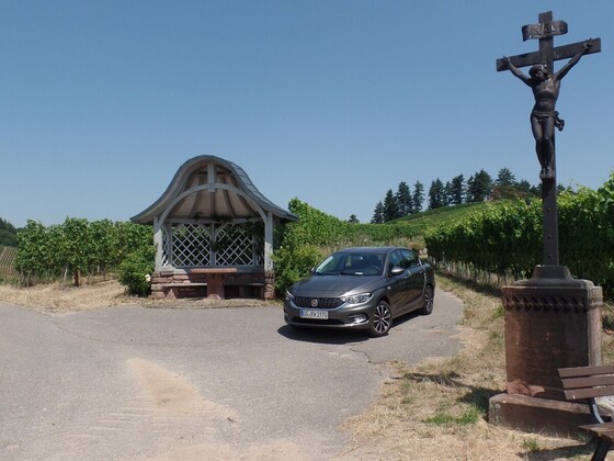 Der Tipo und die Weinberge über Durbach