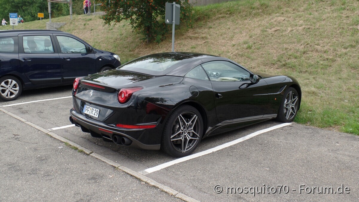 Heute waren wir am Schluchsee in guter Gesellschaft