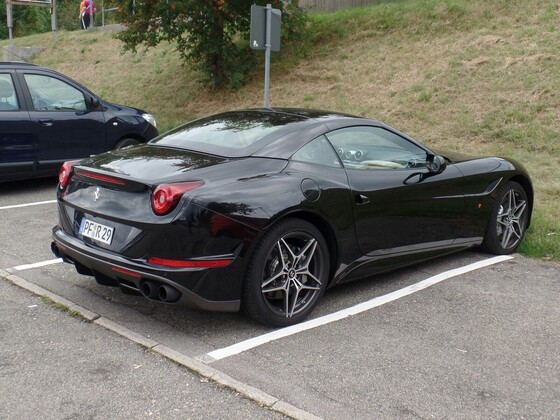 Heute waren wir am Schluchsee in guter Gesellschaft