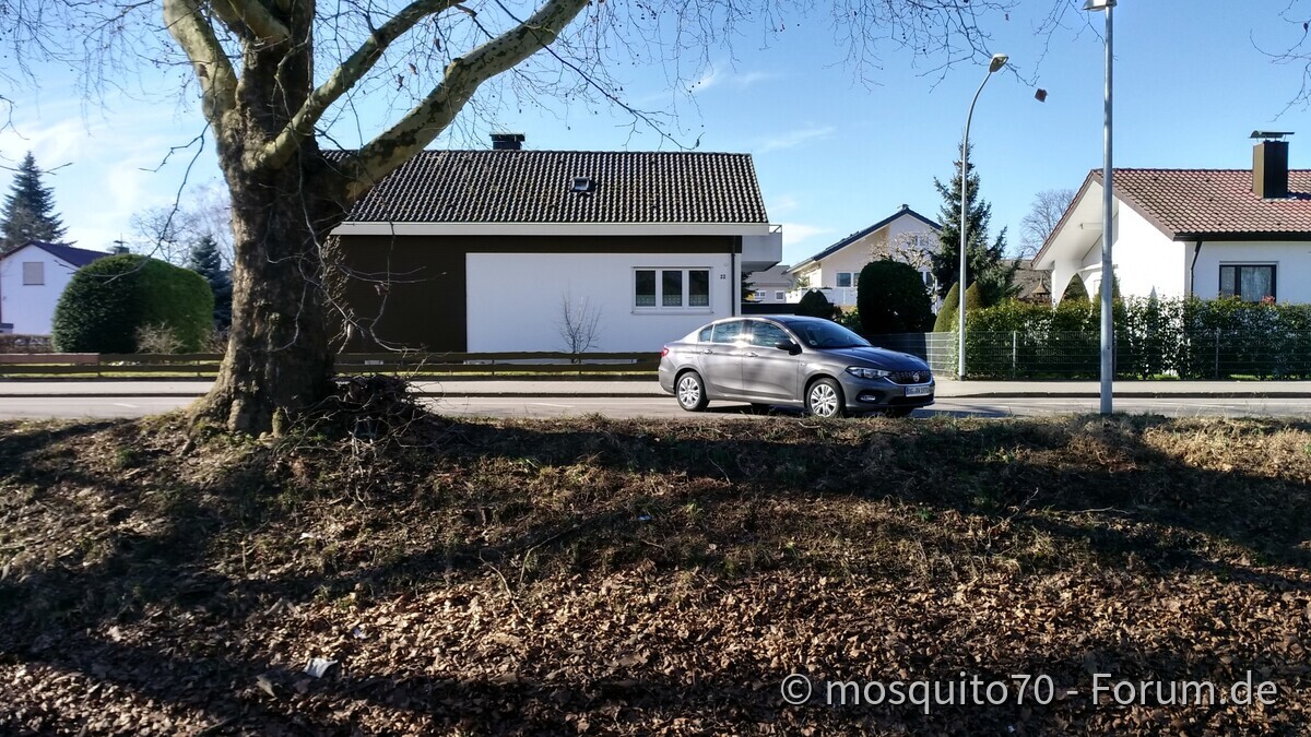 Hab heute ein wenig den Tipo ausgeführt.