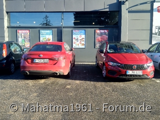 Alfa meets Tipo