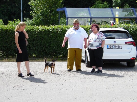 Exklusiv Fotos vom Event des Jahres.