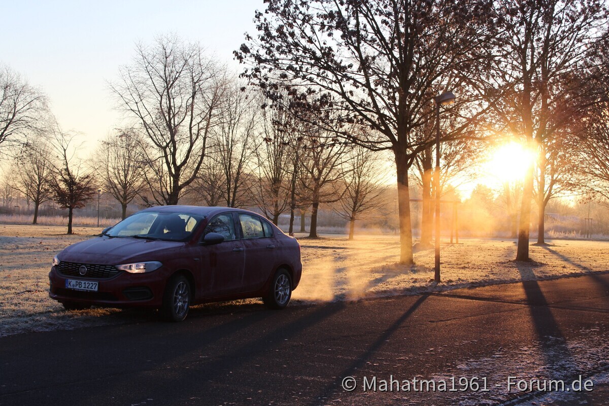 Morgenstimmungen