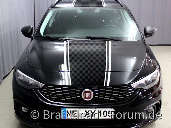 Carbon Sport
