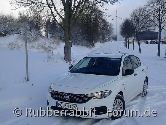Schnee...wohin man schaut