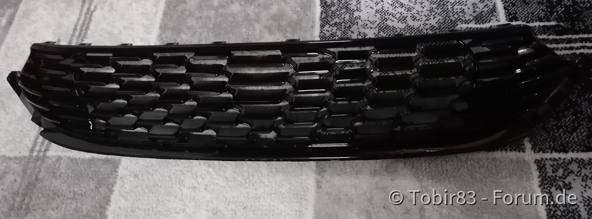 cleaner Frontgrill