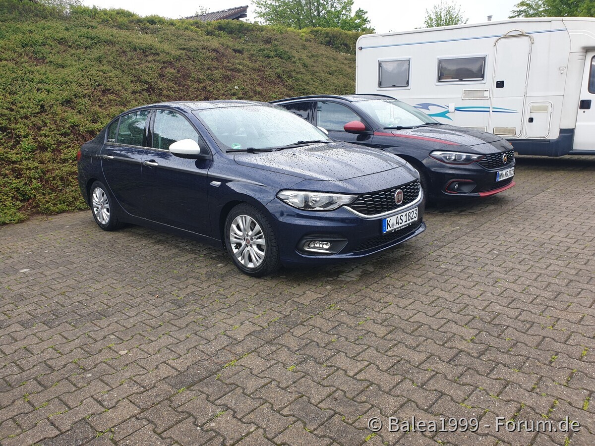 Schwarzarbeit im Schwarzwald