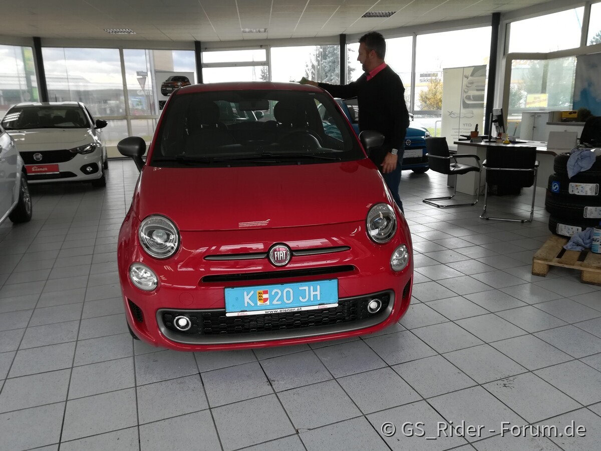 Luigi, unser neues Familienmitglied