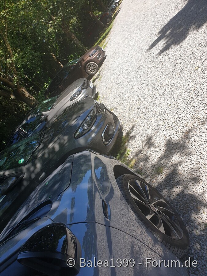 Steinhuder Meer im Ouzo Rausch