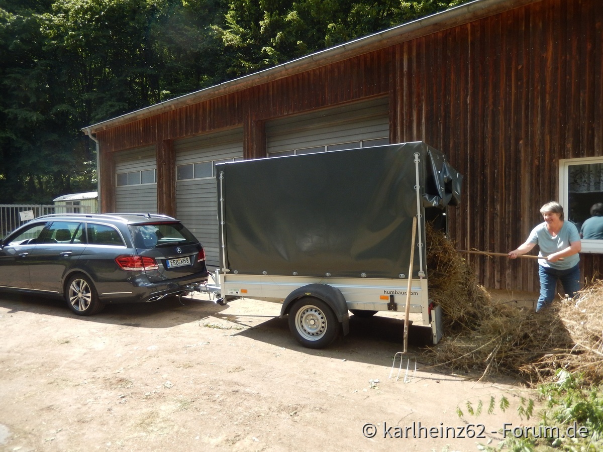 Mit dem Mercedes (und Petra) zur Grünschnittdepo