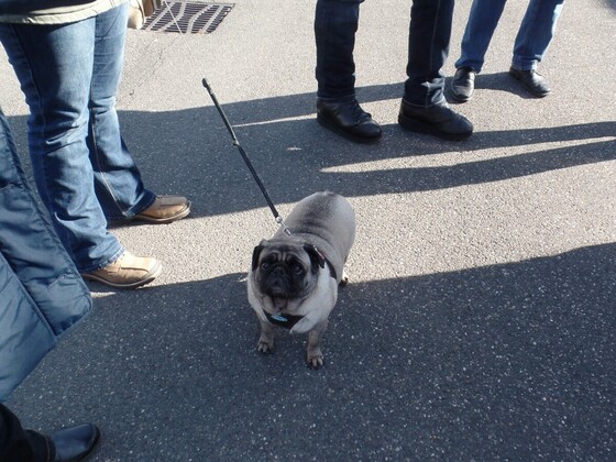 Tipo Treffen an der Classic Remise in Düsseldorf