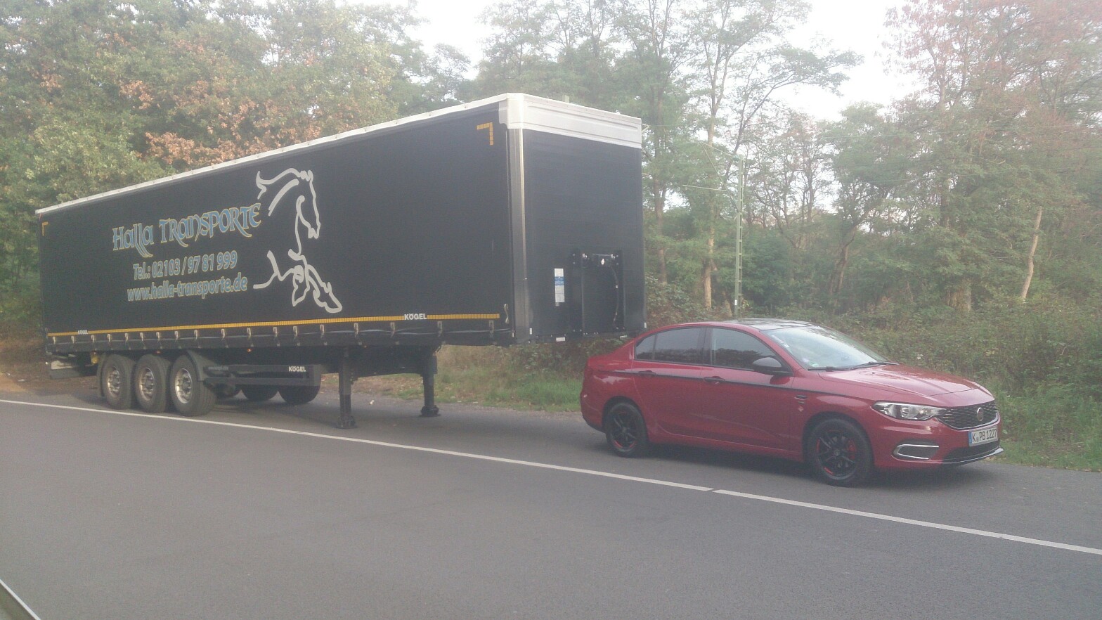 Zugpferd Tipo