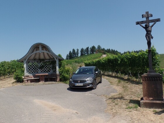 Der Tipo und die Weinberge über Durbach