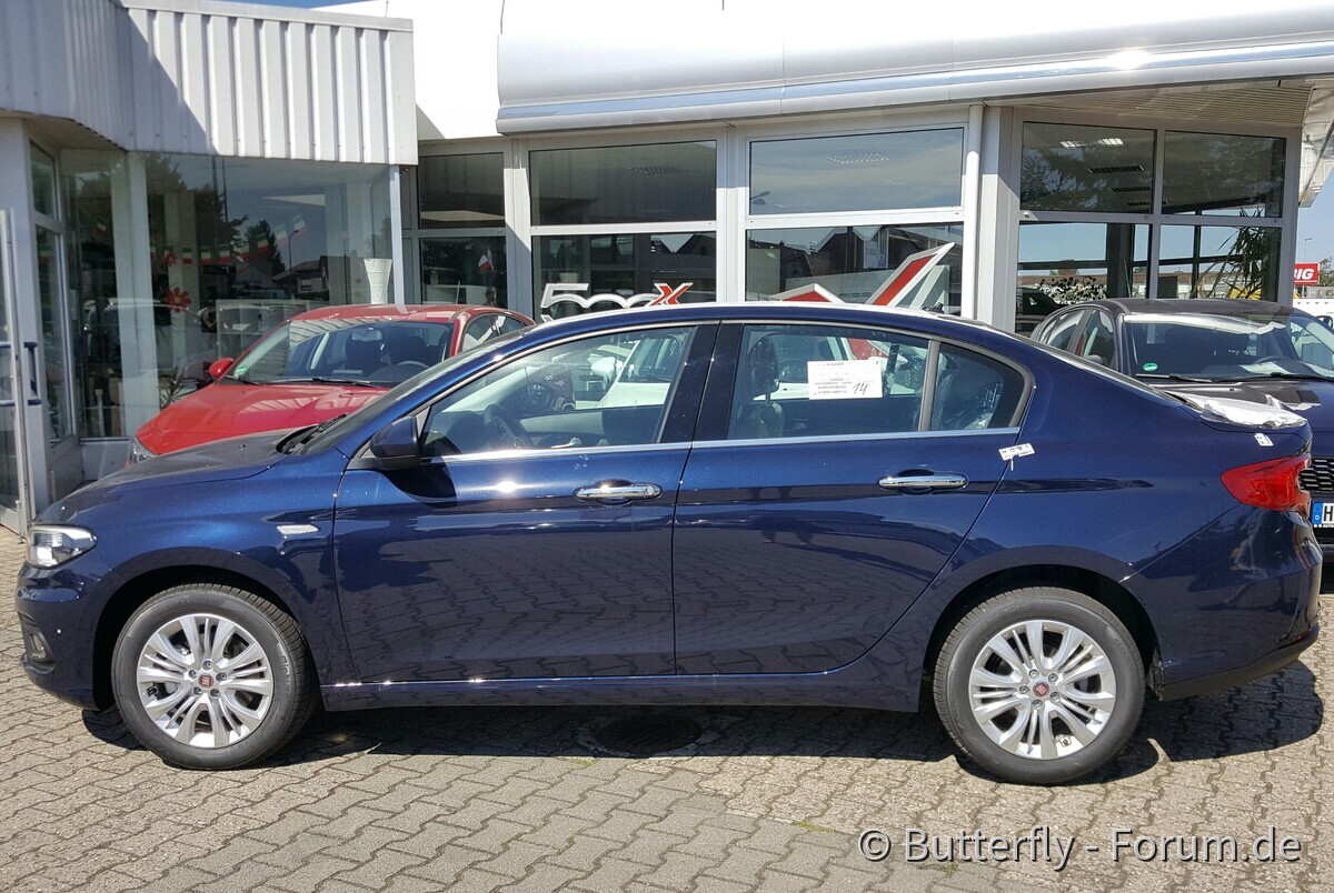 Das ist Blue ♡