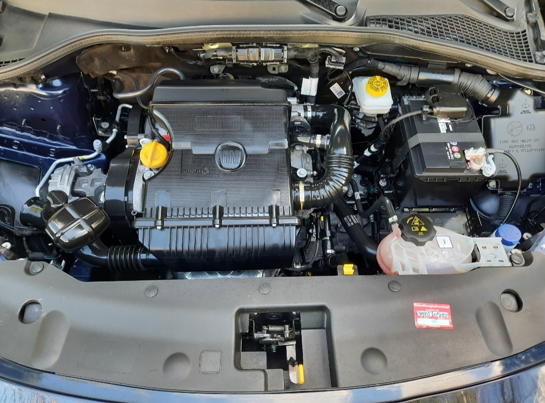 Marderfrühstück weg, Motorraum sauber