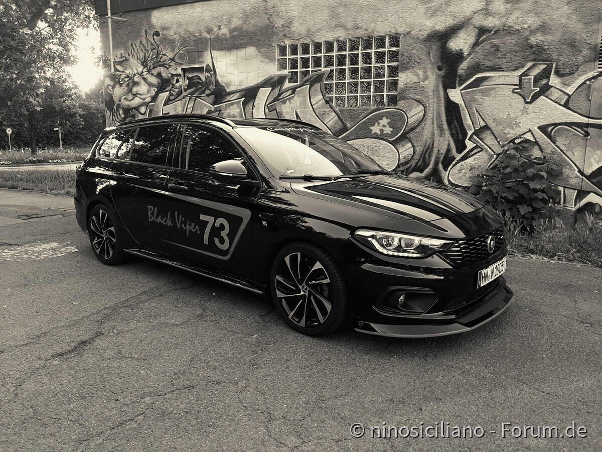Black Viper in Schwarz & Weiß