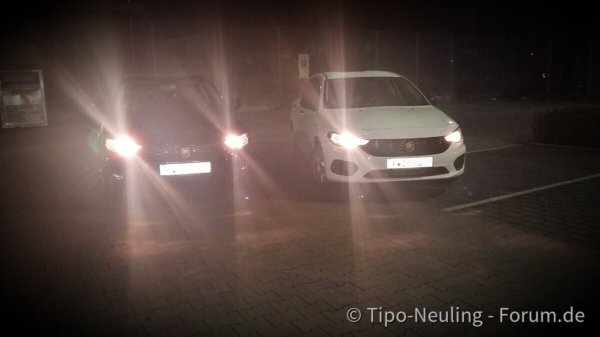 1. Tipo Treffen Frankfurt