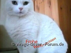 Ein schönes Weihnachtsfest.