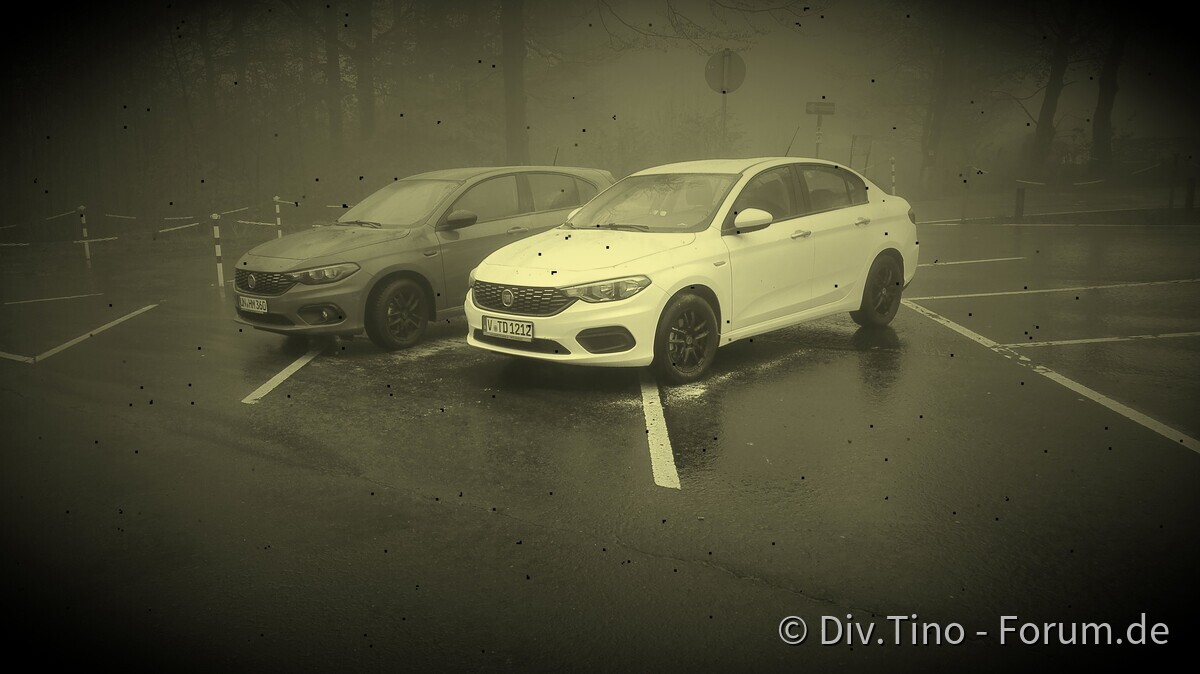 Zweisamkeit statt Einsamkeit