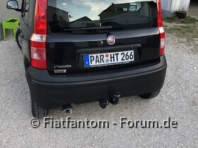 Bilder von Rambo(Panda 169)