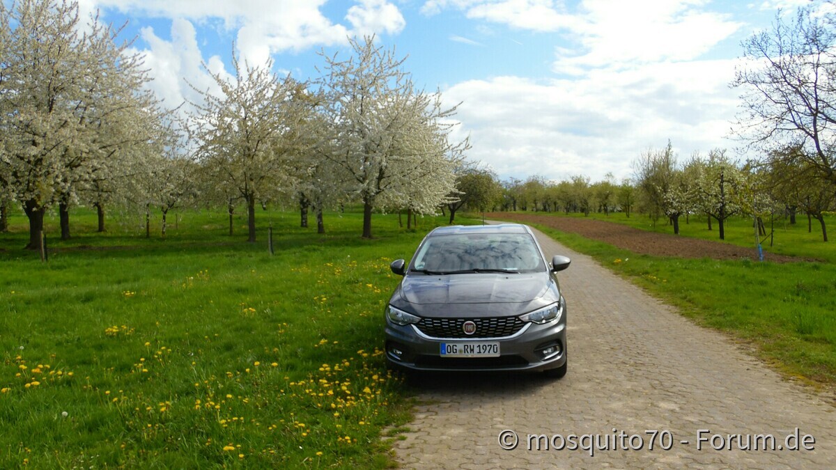 Kleines Limousinen Foto Shooting