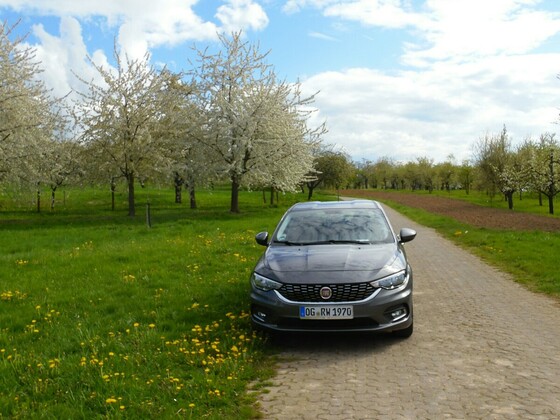 Kleines Limousinen Foto Shooting