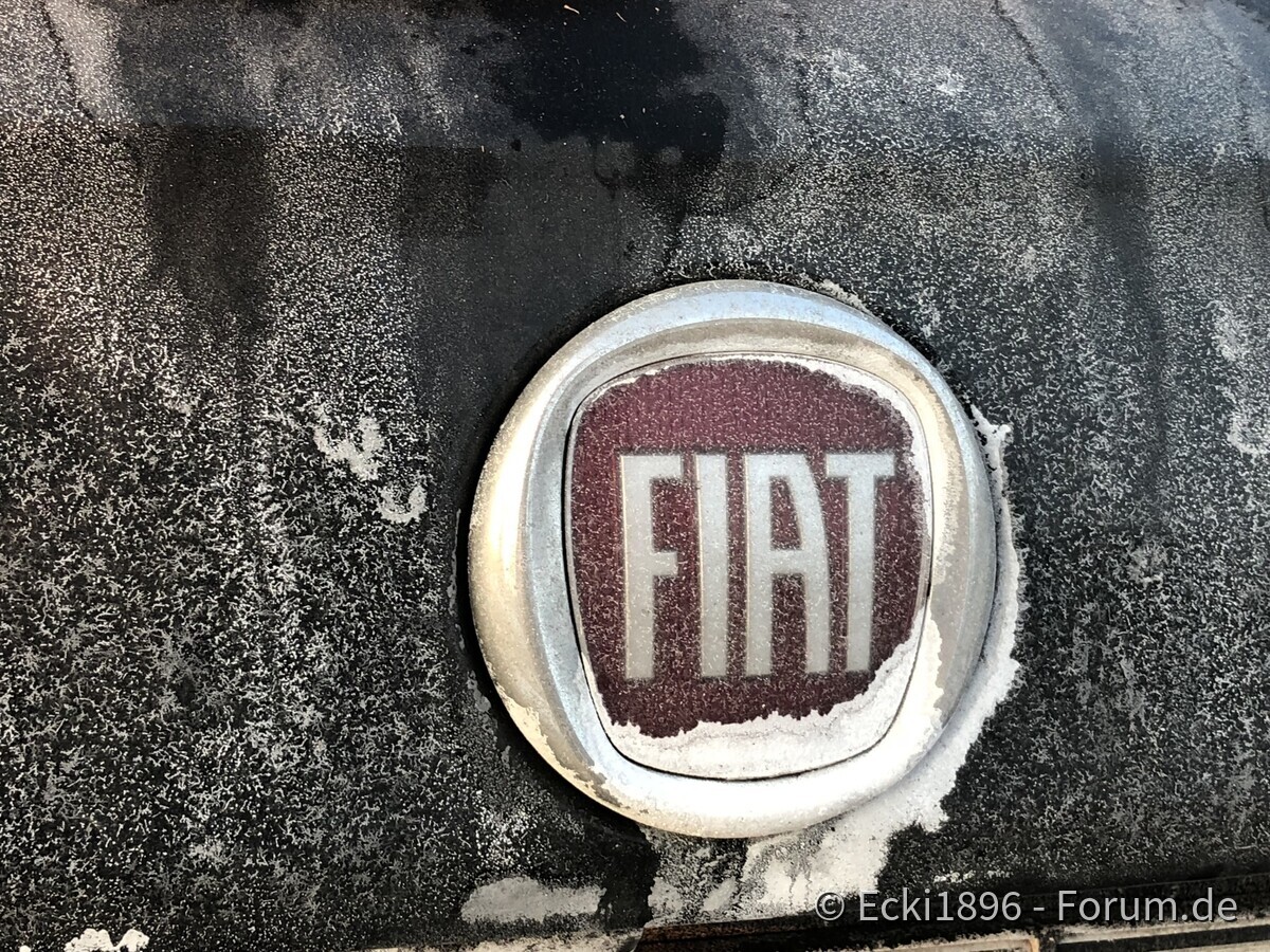 Schwarz-Weiß in Farbe