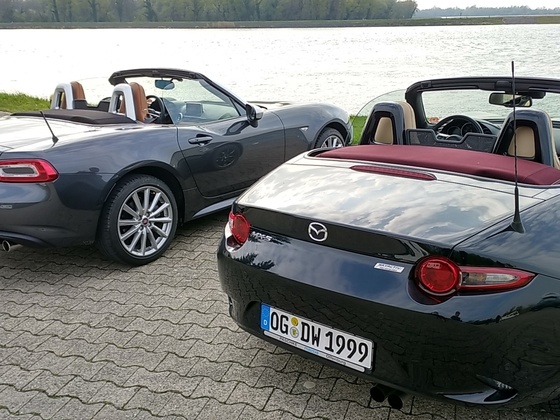 Ausritt zum Rhein