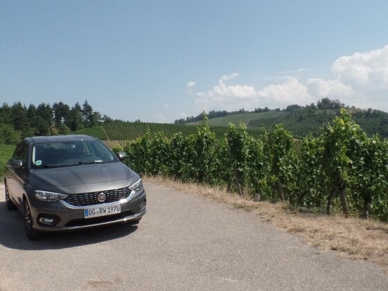 Der Tipo und die Weinberge über Durbach