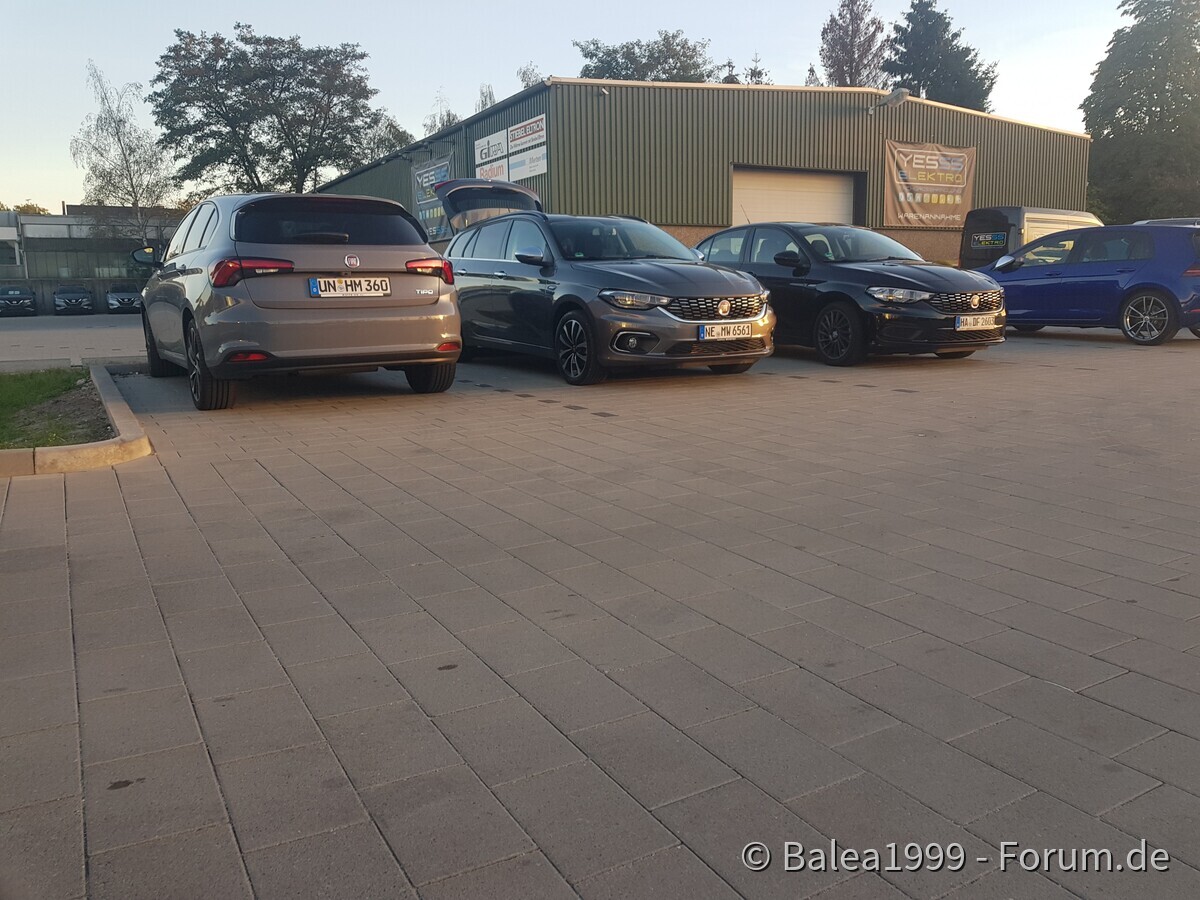 Meine Tipo Sichtungen ;)