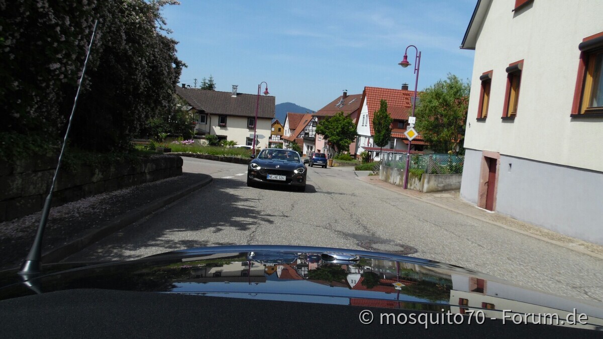 Tour de Schwarzwald Team Tipo Forum