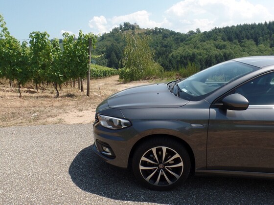 Der Tipo und die Weinberge über Durbach