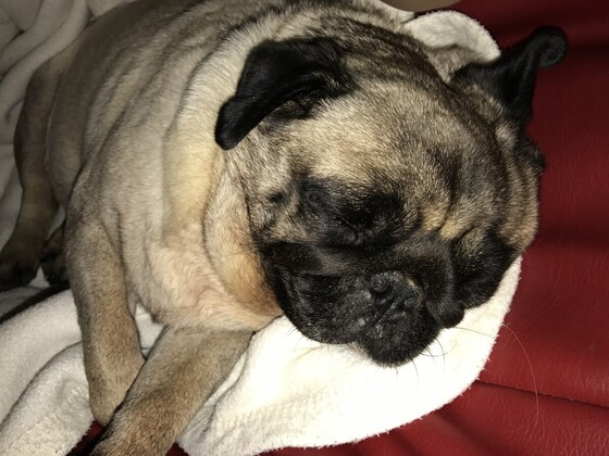Gute Nacht
