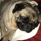 Gute Nacht