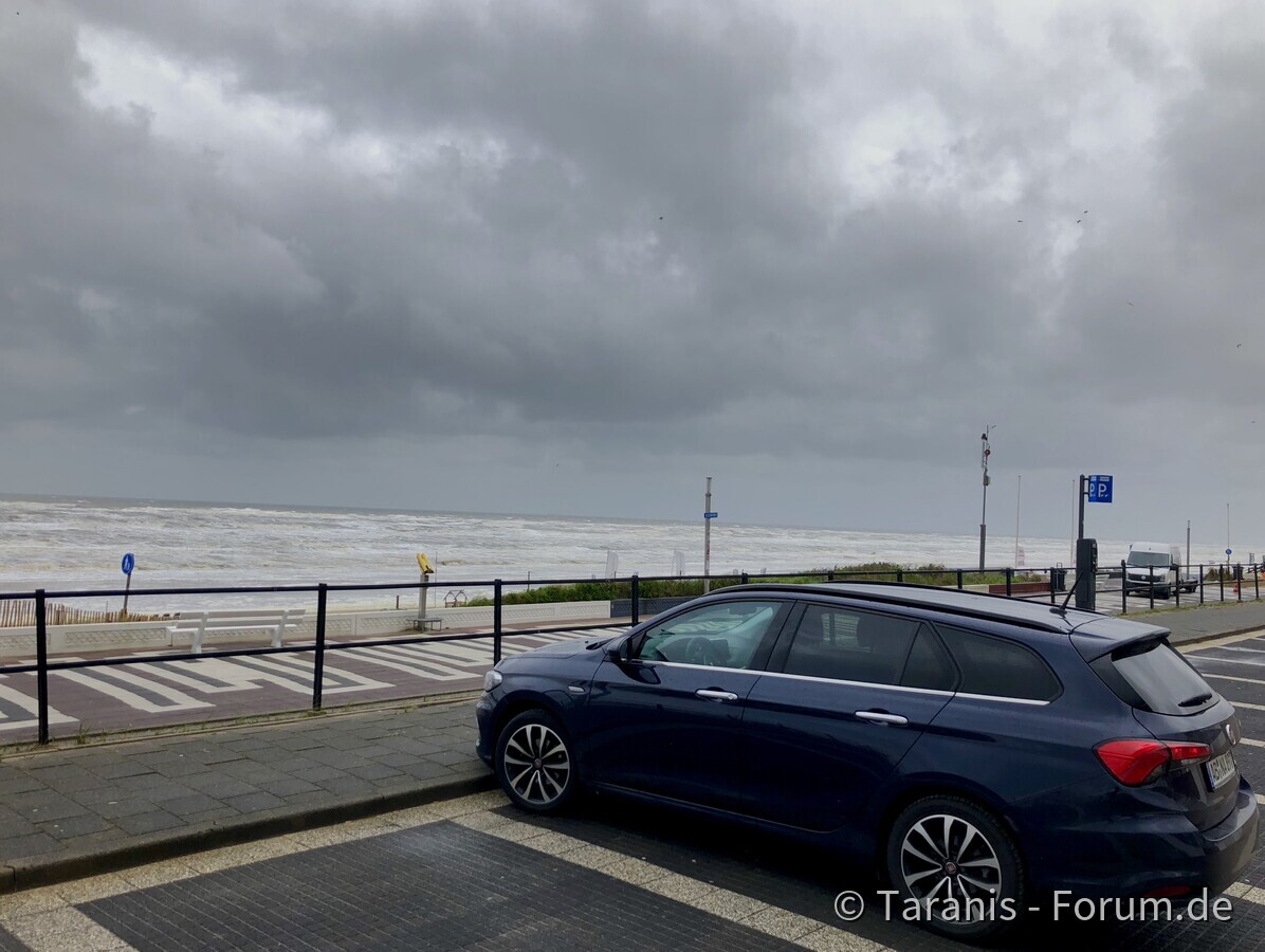Am Meer in Zandvort