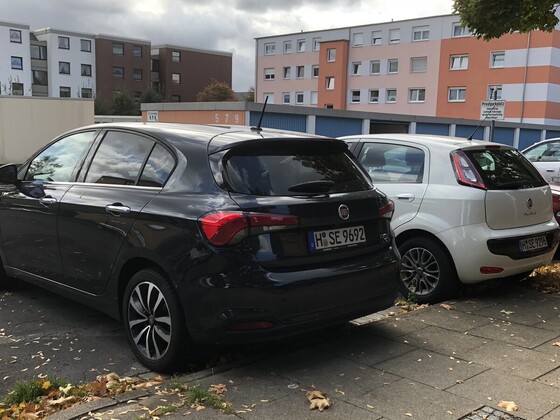 Die zwei Brüder