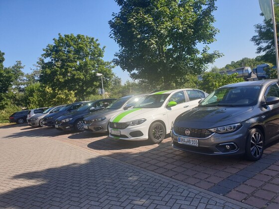 Steinhuder Meer im Ouzo Rausch